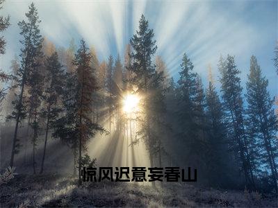 惊风迟意妄春山小说（云渺鹤寻）全文在线阅读免费大结局_惊风迟意妄春山小说最新章节列表