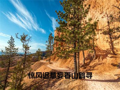 惊风迟意妄春山鹤寻（云渺鹤寻）全文免费阅读无弹窗大结局_（惊风迟意妄春山鹤寻）最新章节列表