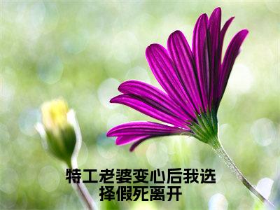 特工老婆变心后我选择假死离开（许远舟江雪曦）全文免费阅读无弹窗大结局_许远舟江雪曦小说全文无弹窗