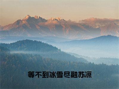 等不到冰雪尽融苏凉（季沉苏凉小说）全文免费阅读无弹窗大结局_（季沉苏凉小说）等不到冰雪尽融苏凉最新章节列表