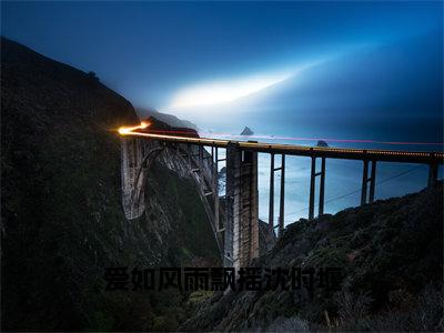 爱如风雨飘摇沈时堰宋夏沈时堰小说免费阅读-爱如风雨飘摇沈时堰抖音新书热荐