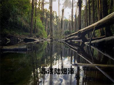 苏浅陆煜泽（陆煜泽苏浅）全文免费阅读无弹窗大结局_（苏浅陆煜泽）免费阅读无弹窗最新章节列表