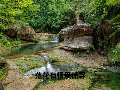 沈寻陈落为落花有情爱徐寻的小说叫什么-最新小说落花有情爱徐寻全文阅读