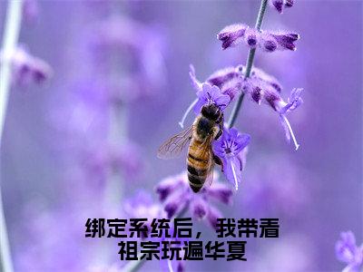 宋灵音今日更新最新章节绑定系统后，我带着祖宗玩遍华夏在线阅读