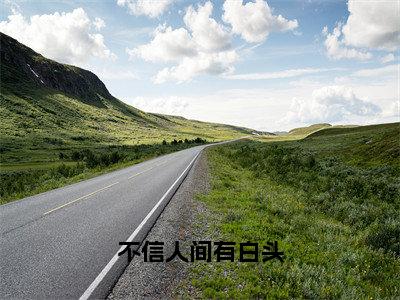 裴淮景小说免费全本-不信人间有白头小说（裴淮景完整版）免费阅读