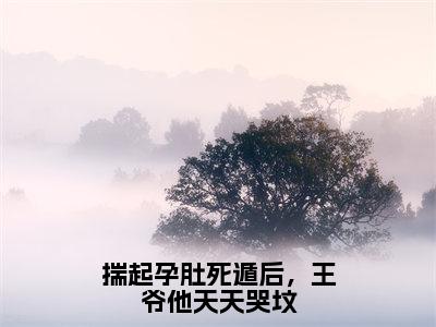 揣起孕肚死遁后，王爷他天天哭坟（齐铭沈昭月）全文免费阅读无弹窗大结局_揣起孕肚死遁后，王爷他天天哭坟完整版在线阅读章节列表_笔趣阁