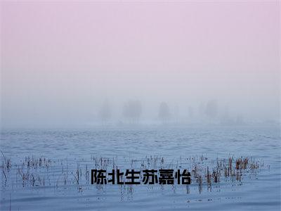 陈北生苏嘉怡（陈北生苏嘉怡）全文免费阅读无弹窗大结局_陈北生苏嘉怡全文阅读_笔趣阁（陈北生苏嘉怡）