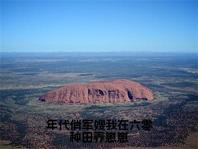 【新书】《年代俏军嫂我在六零种田养崽崽》全文免费阅读无弹窗大结局-柳茵茵全章节免费阅读