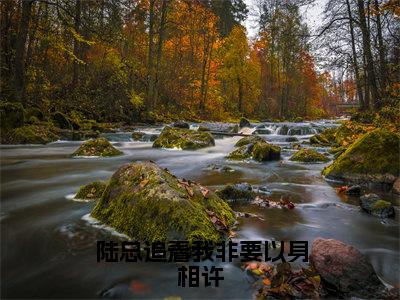 沈芊芊陆霆夜全文全文免费阅读_陆总追着我非要以身相许全文最新章节列表笔趣阁（沈芊芊陆霆夜）