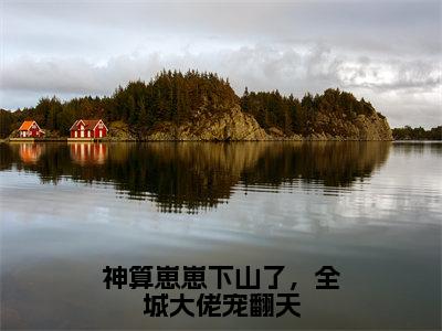 神算崽崽下山了，全城大佬宠翻天小说免费（鱼鱼）全文免费阅读无弹窗-神算崽崽下山了，全城大佬宠翻天小说全文免费阅读-笔趣阁