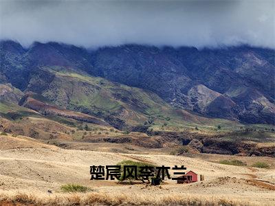 李木兰楚宸风全文免费阅读无弹窗大结局-楚宸风李木兰最新章节列表免费阅读