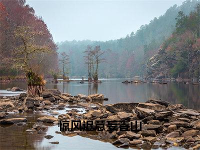 （云渺鹤寻）全文免费阅读惊风迟意妄春山言情小说讲的是什么