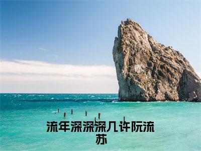 （热推新书）《流年深深深几许阮流苏》全文免费阅读无弹窗大结局-周容川阮流苏无弹窗阅读