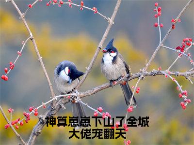 神算崽崽下山了全城大佬宠翻天最新章节（鱼鱼）全文免费阅读无弹窗大结局_鱼鱼神算崽崽下山了全城大佬宠翻天全文免费阅读