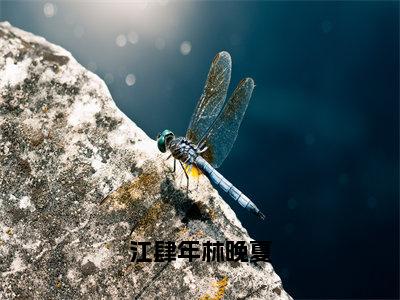 江肆年林晚夏小说全文免费阅读_林晚夏江肆年（林晚夏江肆年）最新章节列表笔趣阁