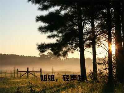 陆清念林雨宜小说（姐姐，轻声哄已完结小说全集完整版大结局）姐姐，轻声哄小说全文阅读笔趣阁