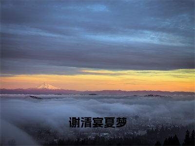 夏梦谢清宴（谢清宴夏梦）在哪免费看-小说（谢清宴夏梦）夏梦谢清宴全文最新章节免费阅读