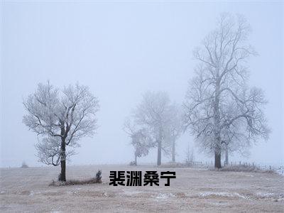 裴渊桑宁（桑宁裴渊）全文免费阅读无弹窗大结局_（裴渊桑宁）最新章节列表_桑宁裴渊