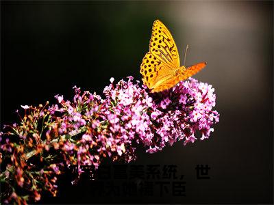 绑定白富美系统，世界为她裙下臣全文免费阅读_（宋挽免费阅读无弹窗）绑定白富美系统，世界为她裙下臣高赞小说阅读