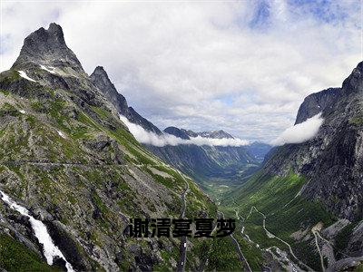 夏梦谢清宴（谢清宴夏梦）全文阅读完整版_夏梦谢清宴（谢清宴夏梦）小说免费阅读大结局无删减