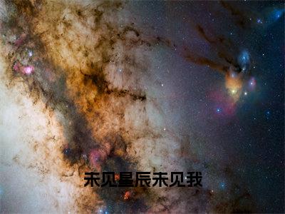 小说林见琛未见星辰未见我求书热文免费阅读-林见琛小说分享全文未见星辰未见我