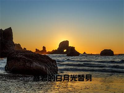 暴君的白月光替身（祁渊林夕梦）全文免费阅读无弹窗大结局_暴君的白月光替身全文免费阅读最新章节列表_笔趣阁