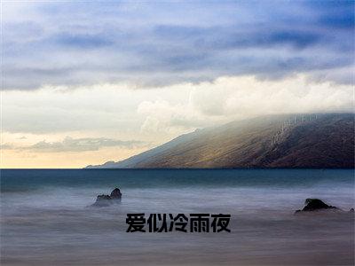 纪初棠贺司承爱似冷雨夜免费小说-爱似冷雨夜（纪初棠贺司承）已更新最新章节