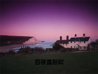 阮软百夜莲精彩小说-百夜莲阮软全章节免费阅读