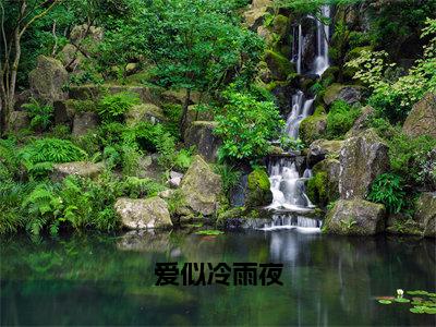 爱似冷雨夜小说免费阅读（纪初棠贺司承）全文免费阅读大结局-（爱似冷雨夜小说免费阅读）好书推荐