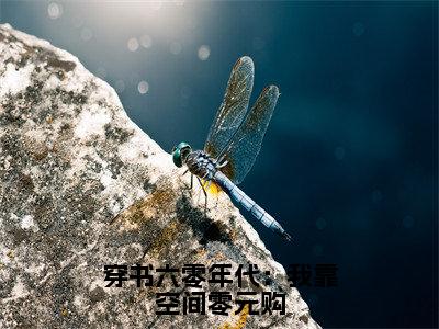 李欣然霍长卿穿书六零年代：我靠空间零元购小说全文免费阅读_李欣然霍长卿（穿书六零年代：我靠空间零元购）最新章节列表笔趣阁