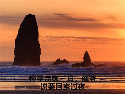 怀孕命剩三月，傅爷说要回家过夜（徐景好傅砚池）全文免费阅读无弹窗大结局_怀孕命剩三月，傅爷说要回家过夜最新章节列表-笔趣阁徐景好傅砚池