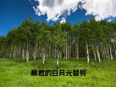 暴君的白月光替身（林夕梦祁渊）全文免费阅读无弹窗大结局_暴君的白月光替身完本小说最新章节阅读