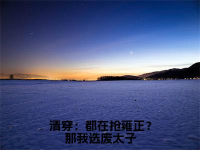 小说名字是：清穿：都在抢雍正？那我选废太子小说免费阅读无弹窗，小说名字是：石毓敏的小说在线阅读无删减