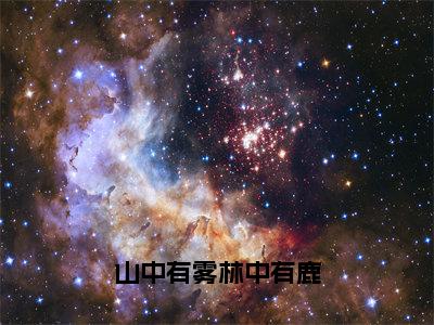 山中有雾林中有鹿（孟泱泱程淮礼）免费全文阅读小说_孟泱泱程淮礼最新章节列表-笔趣阁（山中有雾林中有鹿）