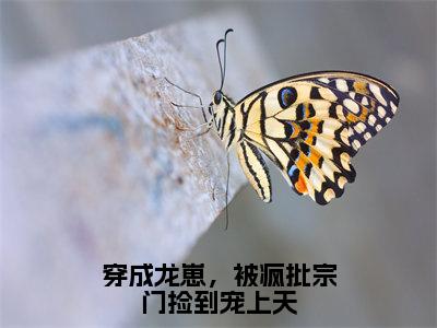 穿成龙崽，被疯批宗门捡到宠上天（江粼月）全文小说在线阅读-穿成龙崽，被疯批宗门捡到宠上天全章节最新阅读