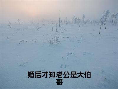 盛夏全文（婚后才知老公是大伯哥）完整版小说阅读无删减_（婚后才知老公是大伯哥）盛夏全本列表免费笔趣阁