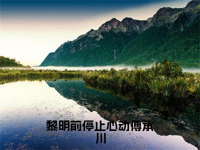 黎明前停止心动傅承川小说好看吗-黎明前停止心动傅承川沈念傅承川热门小说大结局阅读