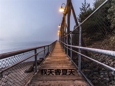 热门小说夏天权天睿权天睿夏天全文免费阅读无弹窗大结局-夏天权天睿全文无弹窗免费阅读大结局