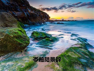 岑柚陆景辞（岑柚陆景辞）全文免费阅读无弹窗大结局_（岑柚陆景辞）最新章节列表_笔趣阁