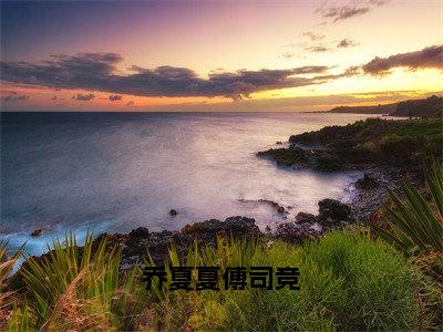 乔夏夏傅司竞精彩小说（乔夏夏傅司竞）在哪免费看-小说（乔夏夏傅司竞）全文完整版免费阅读