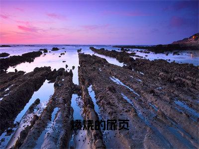 李山茶（燃烧的扉页）完整版小说阅读_燃烧的扉页李山茶全文免费阅读