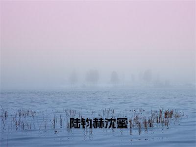 沈蜜陆钧赫小说在线阅读（陆钧赫沈蜜）全文免费阅读无弹窗大结局