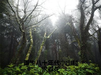 重生八十年代小山村宋春花免费阅读（宋春花）完整版全文全章节阅读