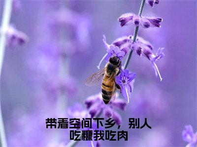 沈宁顾长庚小说（带着空间下乡，别人吃糠我吃肉）全文免费阅读无弹窗大结局_带着空间下乡，别人吃糠我吃肉小说最新章节_笔趣阁（沈宁顾长庚）